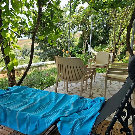 Lemon Garden Apartment-Hot Tub Jacuzzi Gjirokastër Extérieur photo